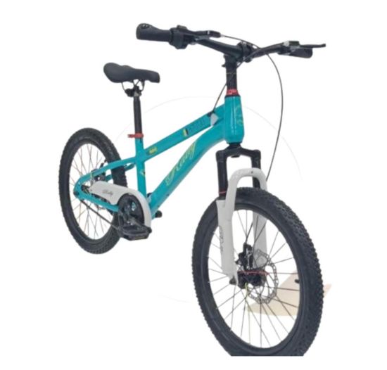 صورة دراجتين أطفال رياضية مقاس 20